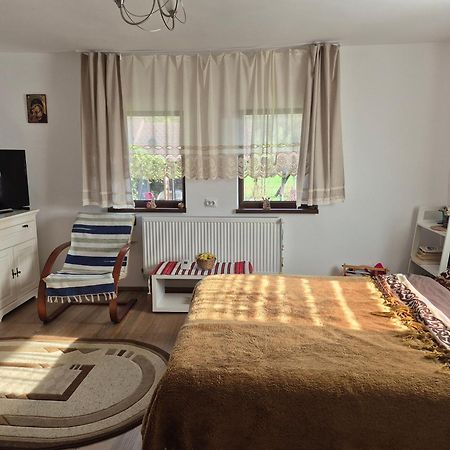 Casa Bunicilor Villa Ciprian Porumbescu Kültér fotó