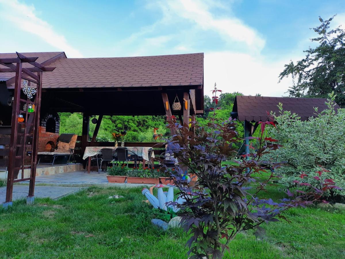 Casa Bunicilor Villa Ciprian Porumbescu Kültér fotó
