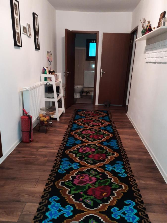 Casa Bunicilor Villa Ciprian Porumbescu Kültér fotó