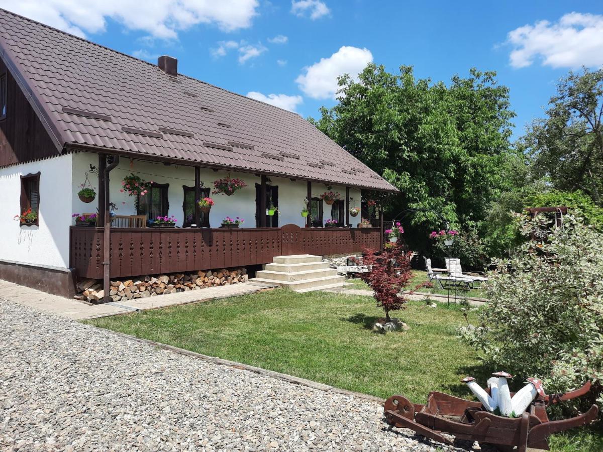 Casa Bunicilor Villa Ciprian Porumbescu Kültér fotó