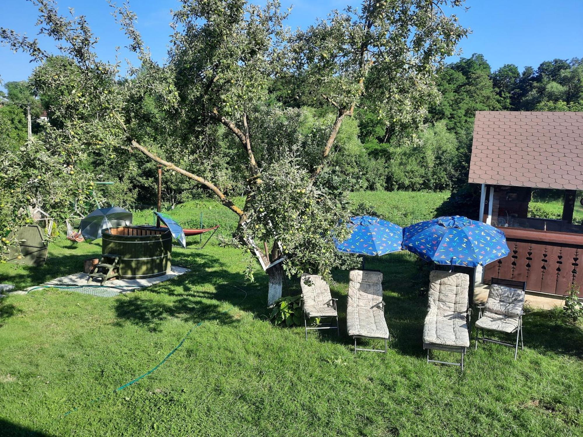 Casa Bunicilor Villa Ciprian Porumbescu Kültér fotó